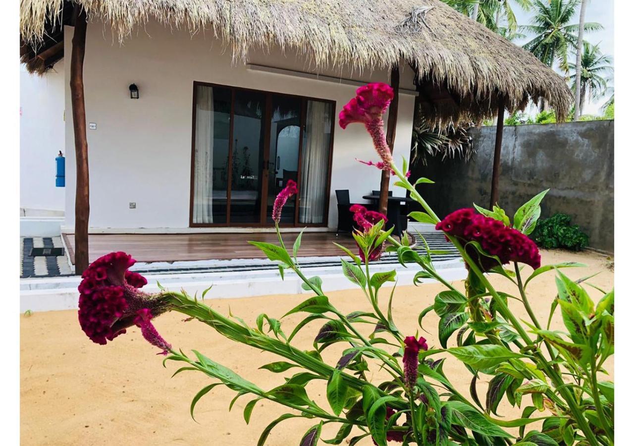 The Blue Lagoon Resort Kalpitiya Eksteriør bilde